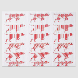 GERMAN SHORTHAIRED POINTER - Tissue Paper - GSP