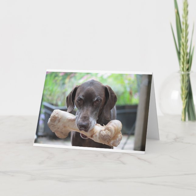 German shorthaired pointer with bone card (Front)