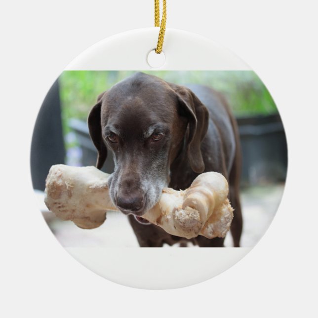 german shorthaired pointer with bone ceramic ornament (Front)