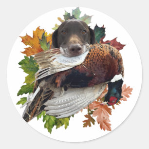 German Shorthaired Pointer with pheasant Snow Glob Classic Round Sticker