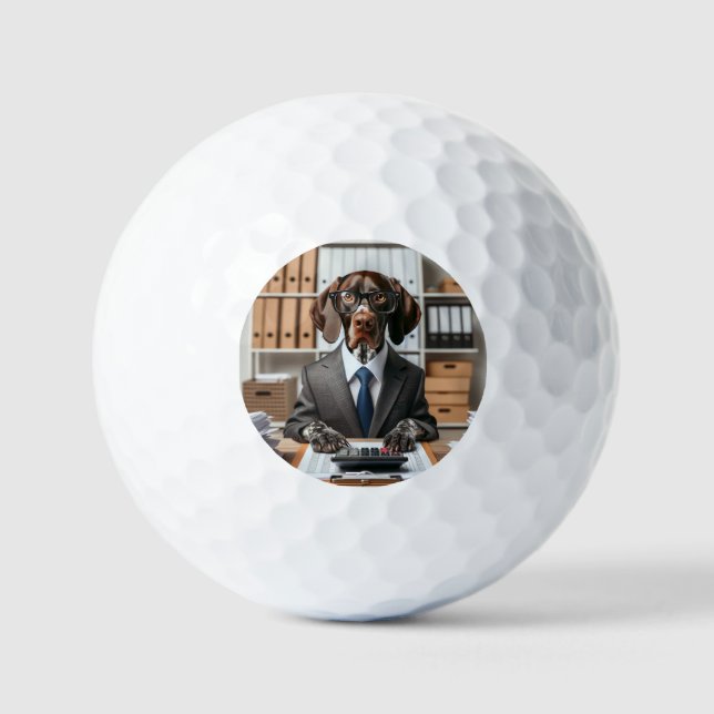 German Shorthaired Pointer working Accountant Golf Balls (Front)