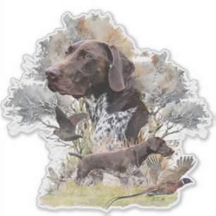 German Shorthaired Pointers 