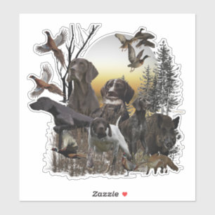 German Shorthaired Pointers 