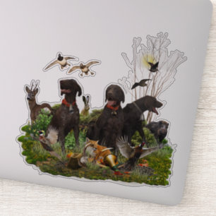 German Shorthaired Pointers
