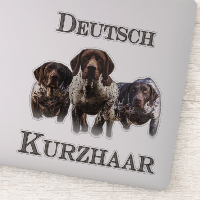 German Shorthaired Pointers   (Detail)