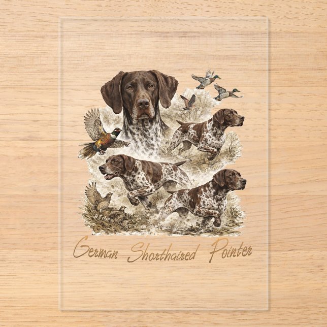 German Shorthaired Pointers  Acrylic Invitations (Front)