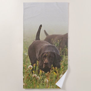 German Shorthaired Pointers Beach Towel