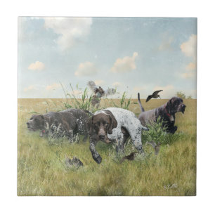 German Shorthaired Pointers  Ceramic Tile