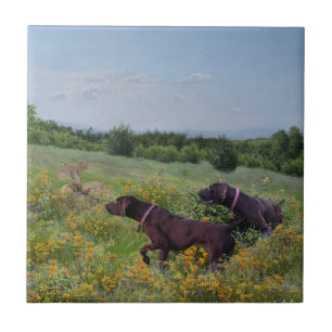 German Shorthaired Pointers    Ceramic Tile