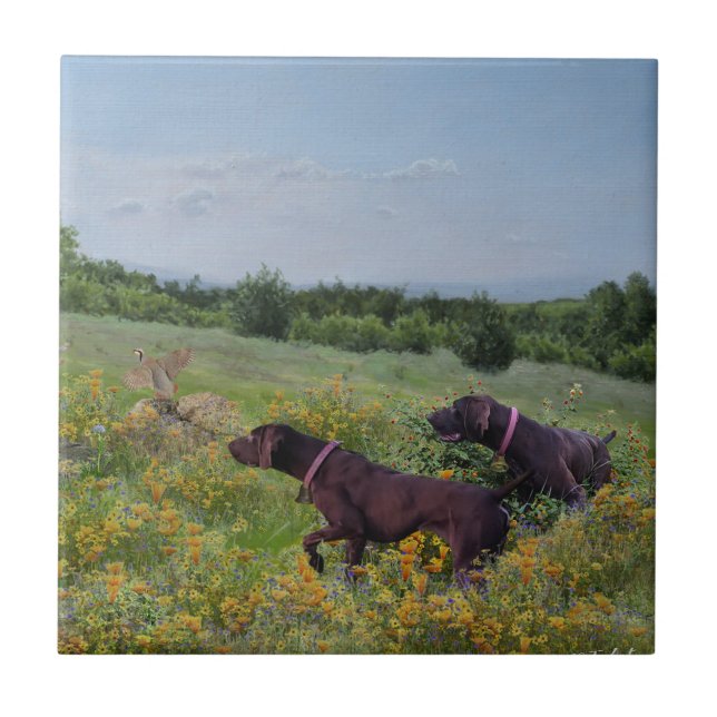 German Shorthaired Pointers    Ceramic Tile (Front)