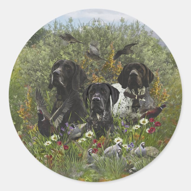German Shorthaired Pointers   Classic Round Sticker (Front)