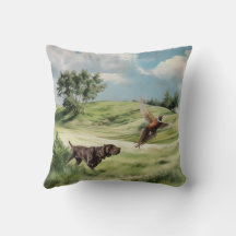 German Shorthaired Pointers 