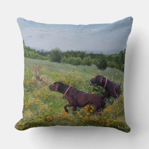 German Shorthaired Pointers Cushion
