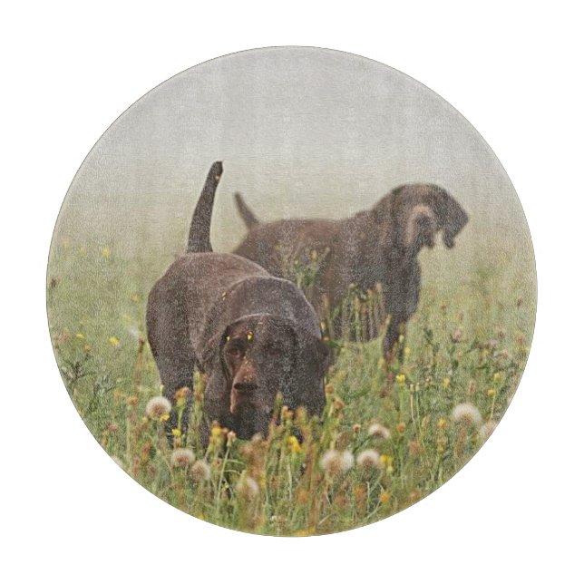 German Shorthaired Pointers  Cutting Board (Front)