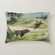 German Shorthaired Pointers 