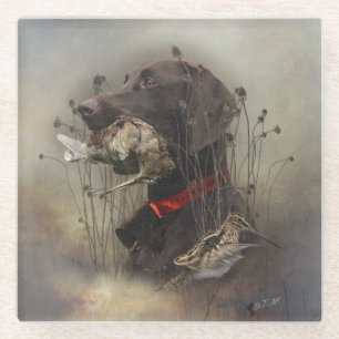 German Shorthaired Pointers Glass Coaster