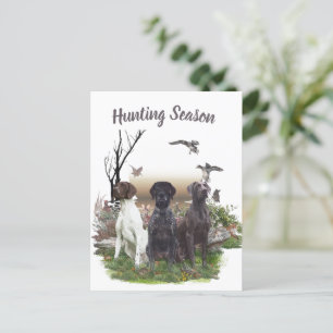 German Shorthaired Pointers (GSP), a hunting pheas Postcard