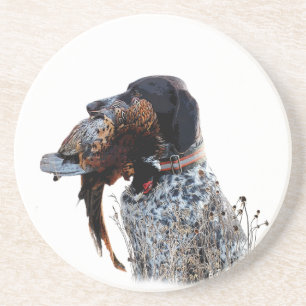 German Shorthaired Pointers (GSP)     Coaster