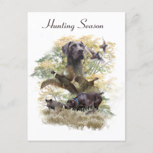 German Shorthaired Pointers (GSP)       Holiday Postcard