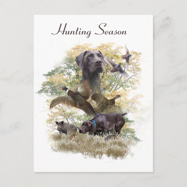 German Shorthaired Pointers (GSP)       Holiday Postcard (Front)