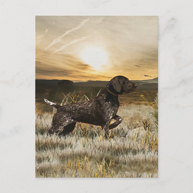 German Shorthaired Pointers (GSP)   Holiday Postcard (Front)