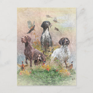 German Shorthaired Pointers (GSP) Postcard