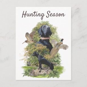 German Shorthaired Pointers (GSP)       Postcard