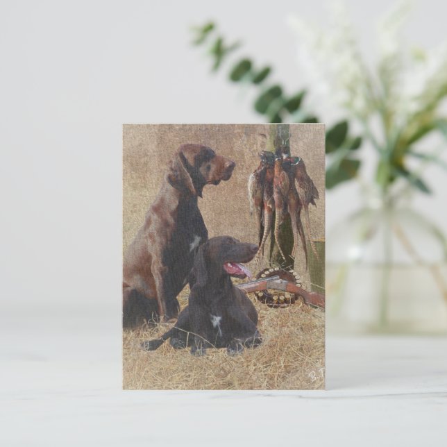 German Shorthaired Pointers (GSP) Postcard (Standing Front)