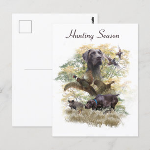 German Shorthaired Pointers (GSP) Postcard