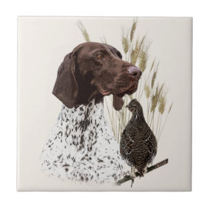 German Shorthaired Pointers (GSP) Postcard Coffee  Ceramic Tile