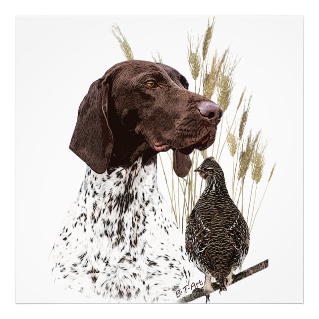German Shorthaired Pointers (GSP) Postcard Coffee  Photo Print (Front)