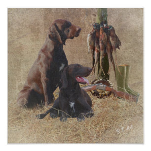 German Shorthaired Pointers (GSP) Poster