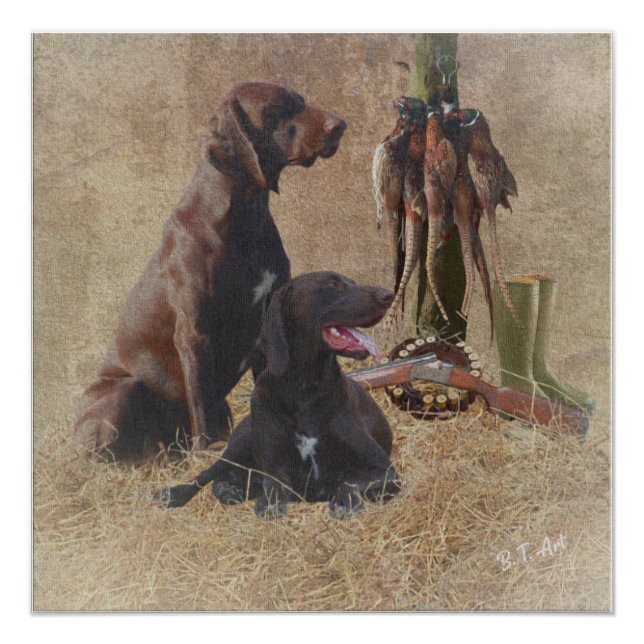German Shorthaired Pointers (GSP) Poster (Front)