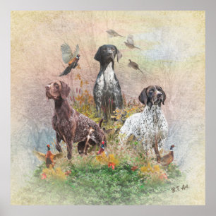German Shorthaired Pointers (GSP) Poster
