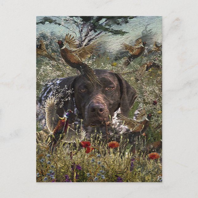 German Shorthaired Pointers Holiday Postcard (Front)