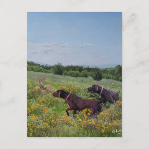 German Shorthaired Pointers Holiday Postcard