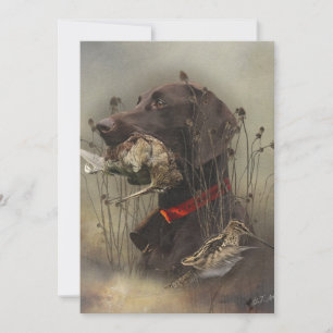 German Shorthaired Pointers Invitation