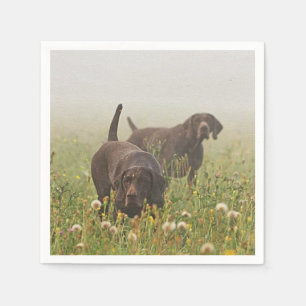 German Shorthaired Pointers  Napkin