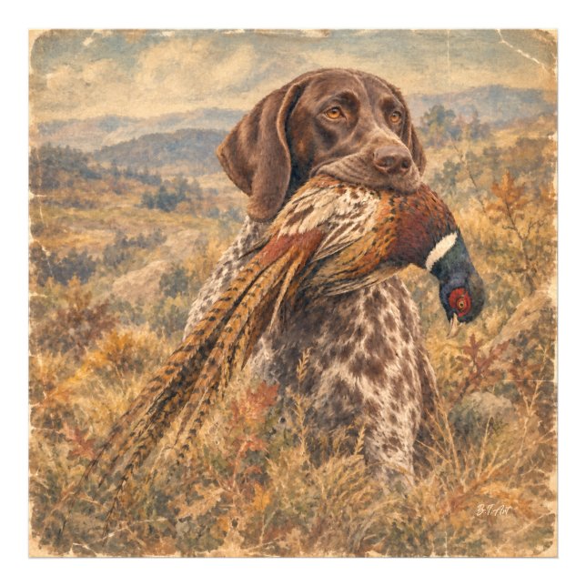 German Shorthaired Pointers  Photo Print (Front)