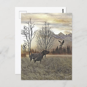 German Shorthaired Pointers Postcard
