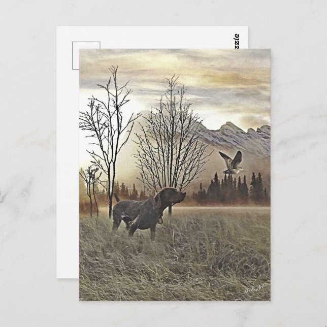 German Shorthaired Pointers Postcard (Front/Back)