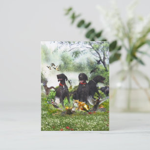German Shorthaired Pointers Postcard