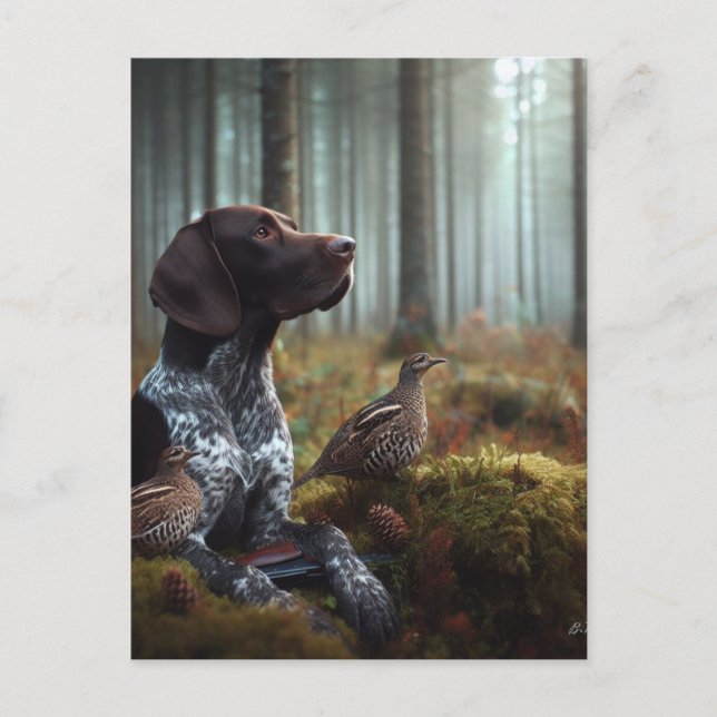 German Shorthaired Pointers Postcard (Front)