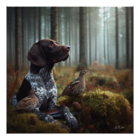 German Shorthaired Pointers
