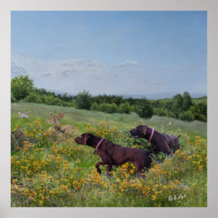 German Shorthaired Pointers    Poster