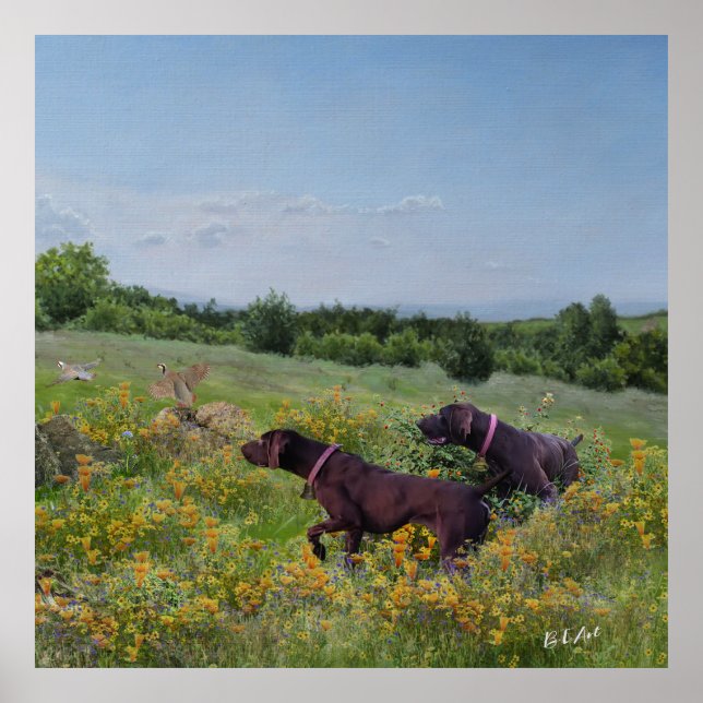 German Shorthaired Pointers    Poster (Front)