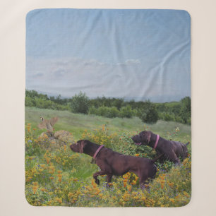 German Shorthaired Pointers    Sherpa Blanket