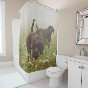 German Shorthaired Pointers Shower Curtain