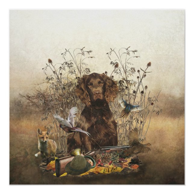 German Spaniel, Wachtelhund  Poster (Front)