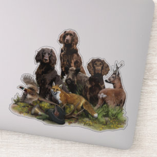German Spaniels ( Deutscher Wachtelhund )
